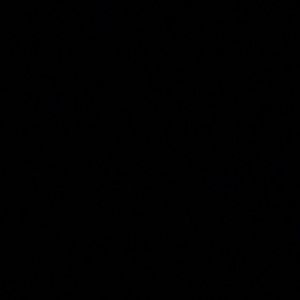 Meet your Posher, Daria